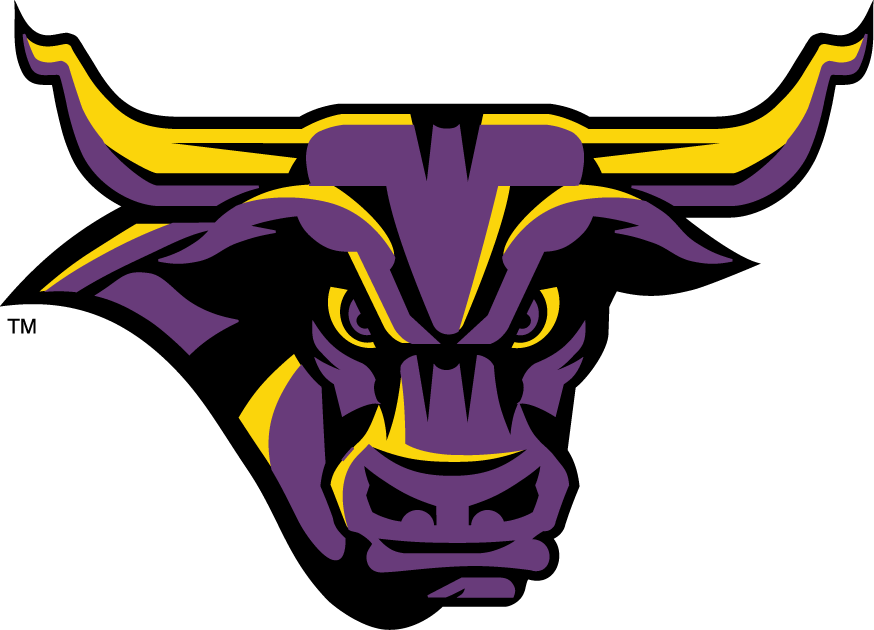 Minnesota State Mavericks 2001-Pres Partial Logo DTF decal stickers